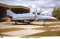 F-4F ファントム2 JG74 メルダース