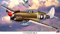 ハセガワ 1/48 飛行機 限定生産 キティホーク Mk.4