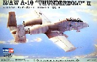 N/AW A-10 サンダーボルト 2