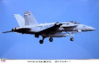 F/A-18E スーパーホーネット ロービジ