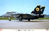 F-14D トムキャット VF-31 トムキャッターズ