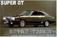 アオシマ 1/24 ザ・スカイライン スカイライン HT 2000GT-E スーパーGT カンパニョーロ・スペシャル'79