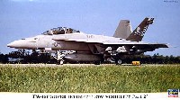 F/A-18F スーパーホーネット ロービジ2