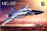 MIG-25P フォックスバット迎撃機