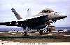 F/A-18F スーパーホーネット ロービジ