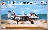 F-14D スーパートムキャット