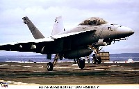 F/A-18F スーパーホーネット ロービジ