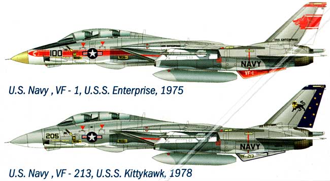 グラマン Ｆ-14A トムキャット プラモデル (イタレリ 1/48 飛行機シリーズ No.2667) 商品画像_1