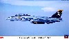 F-14B トムキャット ジョリーロジャース  VF-103
