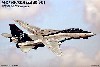 Ｆ-14D トムキャット VF-101 グリムリーパーズ 2004 (3機セット）
