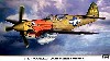 P-40N ウォーホーク 第502戦闘飛行隊