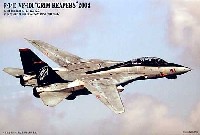 マイクロエース 1/144 HG ジェットファイターシリーズ Ｆ-14D トムキャット VF-101 グリムリーパーズ 2004 (3機セット）