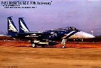 F-15J イーグル 航空自衛隊 第304飛行隊 50周年記念塗装機 (3機セット）