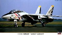 Ｆ-14A トムキャット 初期型