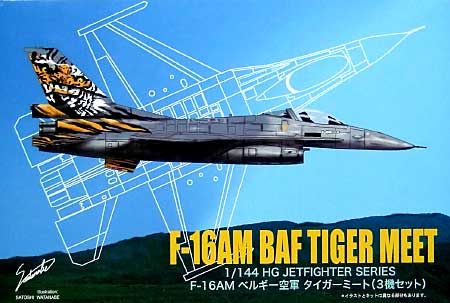 F-16AM ベルギー空軍 タイガーミート (3機セット） プラモデル (マイクロエース 1/144 HG ジェットファイターシリーズ No.018) 商品画像
