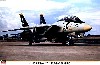 F-14A トムキャット VF-84 ジョリー ロジャース