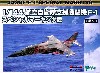 航空自衛隊 F-1 スペシャルマーキング機 (2機セット）
