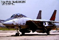 F-14A トムキャット VF-154 ブラックナイツ (3機セット）