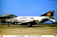 ハセガワ 1/48 飛行機 限定生産 F-4J ファントム2 カラフル CAG バード