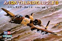 A-10A サンダーボルト 2