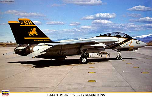F-14A トムキャット VF-213 ブラックライオンズ プラモデル (ハセガワ 1/48 飛行機 限定生産 No.09814) 商品画像