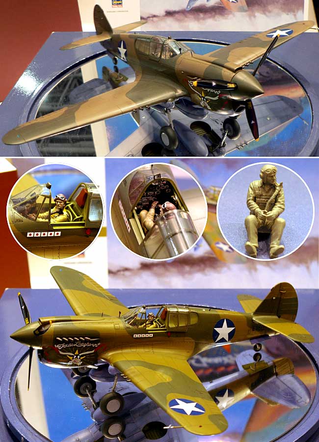 P-40E ウォーホーク プラモデル (ハセガワ 1/32 飛行機 Stシリーズ No.ST029) 商品画像_3