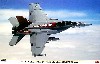 F/A-18F スーパーホーネット VFA-102 ダイヤモンドバックス CAG