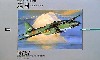 三菱 キ-67 雷撃機 靖国 (日本海軍 雷撃機）