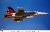 F/A-18F スーパーホーネット VFA-154 ブラックナイツ CAG