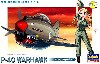 P-40 ウォーホーク