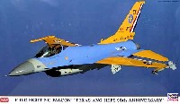 Ｆ-16C ファイティングファルコン テキサス ANG 111FS 90周年スペシャル (2機セット）