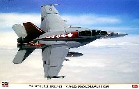 ハセガワ 1/48 飛行機 限定生産 F/A-18F スーパーホーネット VFA-102 ダイヤモンドバックス CAG