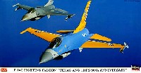 F-16C ファイティングファルコン テキサスANG 111FS 90周年スペシャル