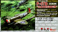 P-47D サンダーボルト レザーバック (2機セット）