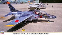 ハセガワ 1/72 飛行機 限定生産 川崎 T-4 F-2/F-15迷彩コンボ (2機セット）