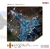 スホーイ SU-27 ウクライナ空軍 第831通信旅団 (シングルシート)