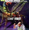 ジャイアントインセクト (Giant Insect)
