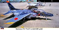 川崎 T-4 F-2 / F-15迷彩