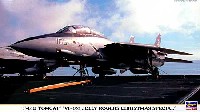 ハセガワ 1/72 飛行機 限定生産 F-14B トムキャット VF-103 ジョリーロジャース クリスマススペシャル