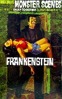 メビウス モンスター シーン シリーズ フランケンシュタイン (FRANKENSTEIN)