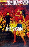 ビクティム (THE Victim)