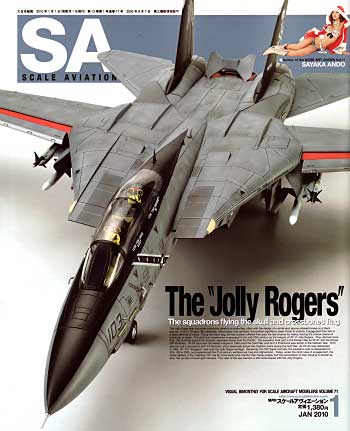 スケール アヴィエーション 2010年1月号 雑誌 (大日本絵画 Scale Aviation No.Vol.071) 商品画像