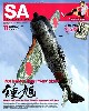 スケール アヴィエーション 2009年11月号