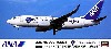 全日空 ボーイング737-700ER ANA ビジネスジェット