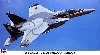 F-15J イーグル 305SQ 梅組30周年記念塗装