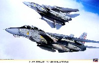 ハセガワ 1/48 飛行機 限定生産 F-14A トムキャット VF-211 チェックメイツ