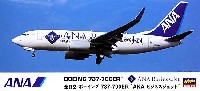 全日空 ボーイング737-700ER ANA ビジネスジェット