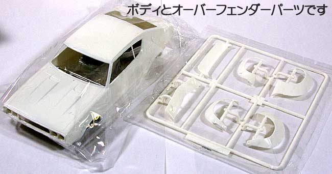 ニッサン スカイライン GT-R (KPGC110) フルワークス仕様 プラモデル (フジミ 1/24 インチアップシリーズ No.136) 商品画像_1