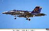 F/A-18C ホーネット ゴールデン ドラゴンズ ヒストリー (3機セット)