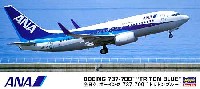 全日空 ボーイング 737-700 トリトンブルー　